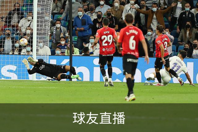 球友直播公司介绍